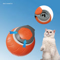 Load image into Gallery viewer, Speedy Tail Cat Toy