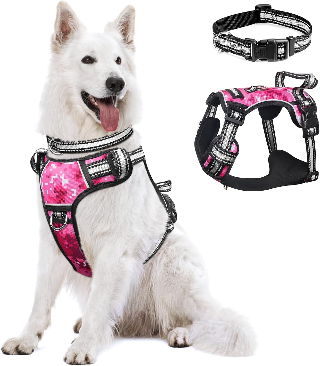 Dog Collars & Harnesses & Leads