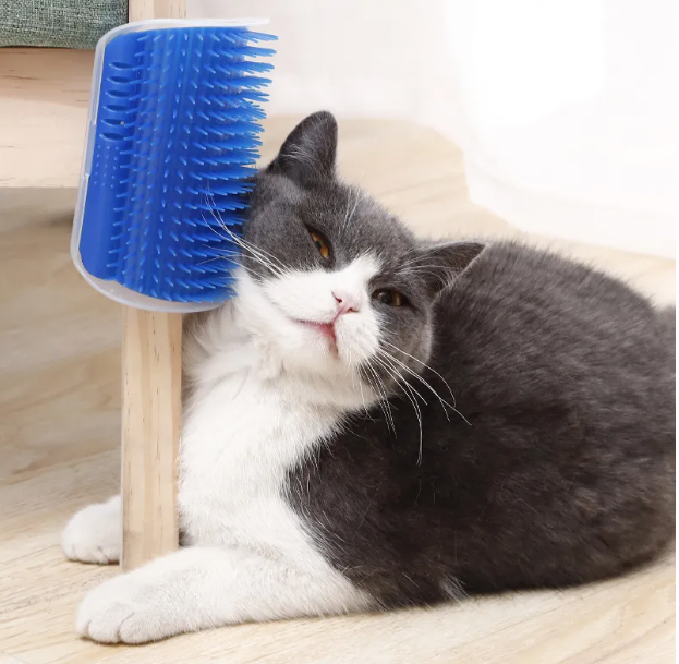 Cat Grooming Supplies
