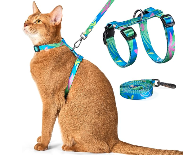 Cat Collars & Harnesses