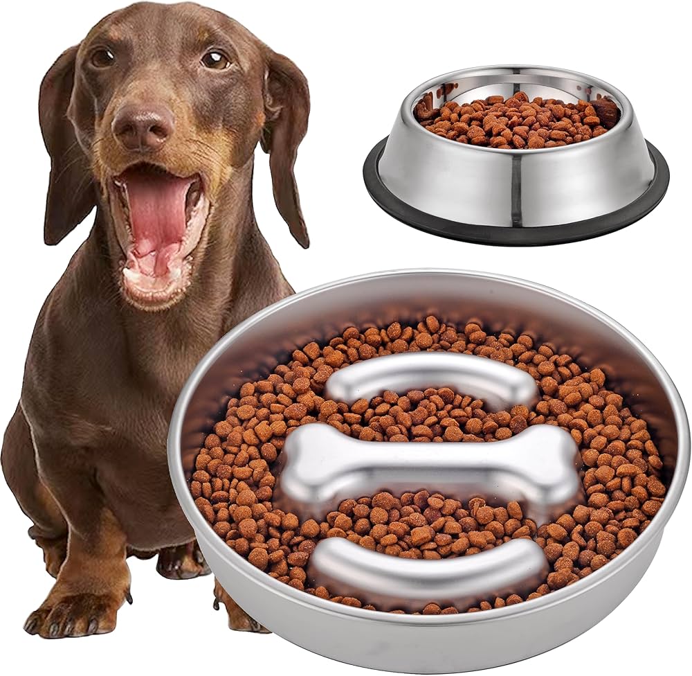 Dog Bowls & Feeders