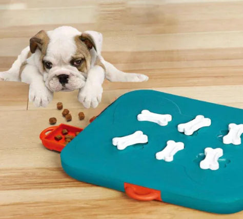 Pet Treasure Hunt Puzzle Toy for Dogs and Cats, 970g