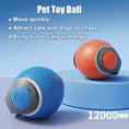 Load image into Gallery viewer, Speedy Tail Cat Toy
