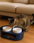 Load image into Gallery viewer, Tabby cat approaching a navy blue elevated dual pet food bowl feeder with white ceramic bowls and storage compartment on wooden floor near beige sofa.
