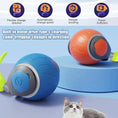 Load image into Gallery viewer, Speedy Tail Cat Toy
