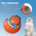 Load image into Gallery viewer, Speedy Tail Cat Toy
